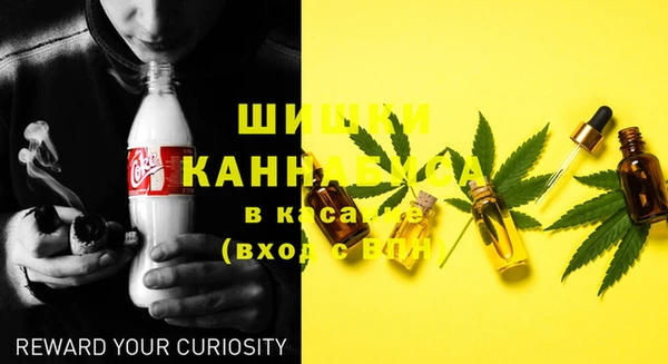 гашик Кодинск