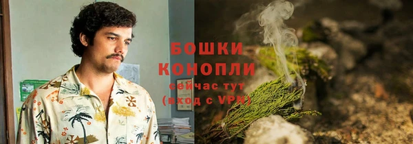 дживик Козельск