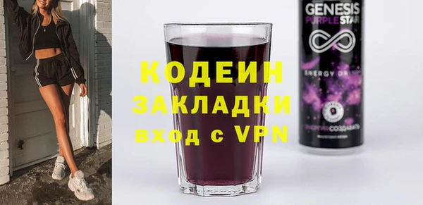 гашик Кодинск