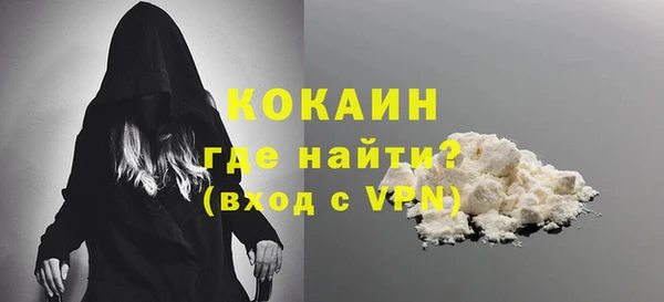 дживик Козельск