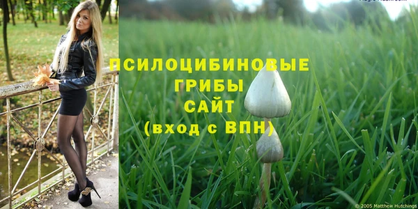 дживик Козельск