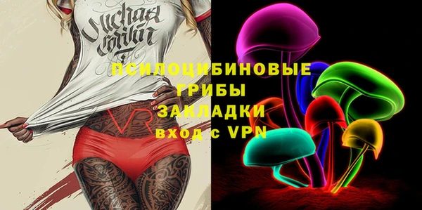 гашик Кодинск