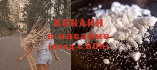 дживик Козельск