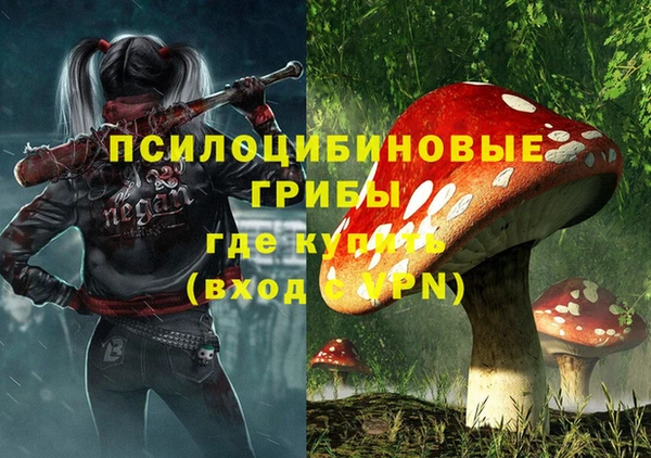 дживик Козельск