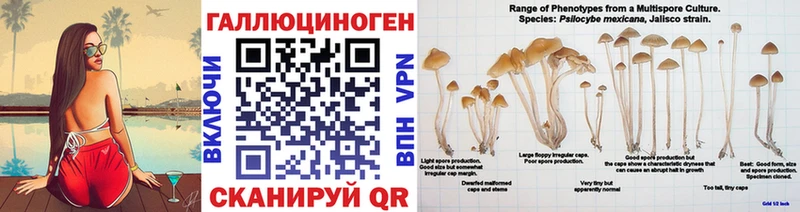 Галлюциногенные грибы прущие грибы  Купить где  Минеральные Воды 